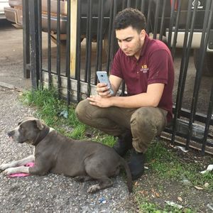 Meet your Posher, Francisco